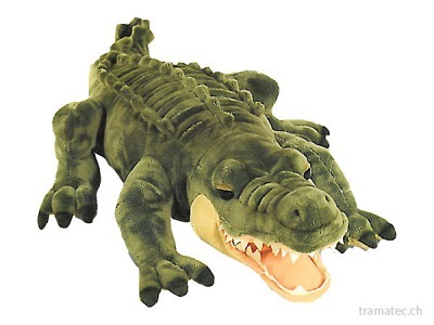Keel Krokodil 66cm