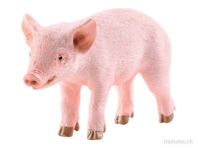 Schleich Ferkel stehend