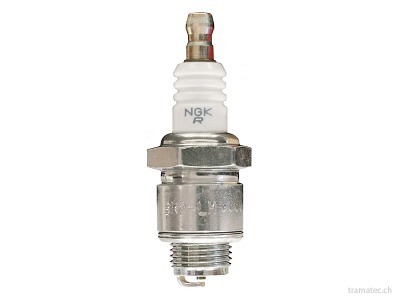 Briggs & Stratton Ersatzteil Vergaser-Überholungssatz 495606