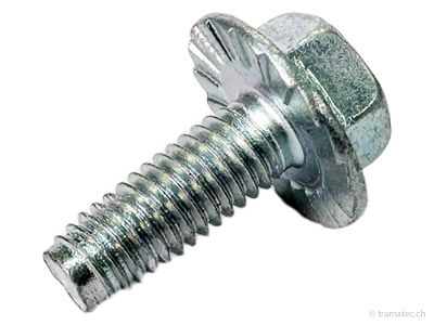 Briggs & Stratton Ersatzteil Schraube 3/16" x 1/2"