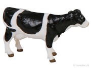 Image 2 de 2