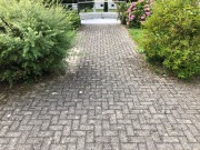 Bild 4 von 5